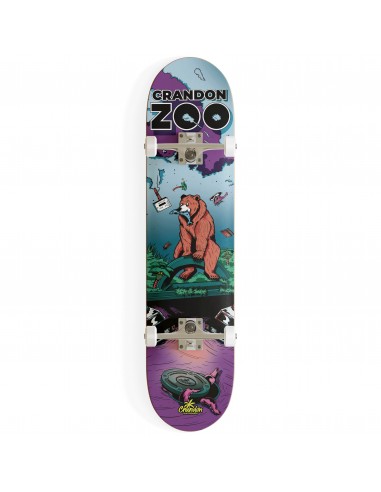 SKATE CRANDON BEAR 8253081