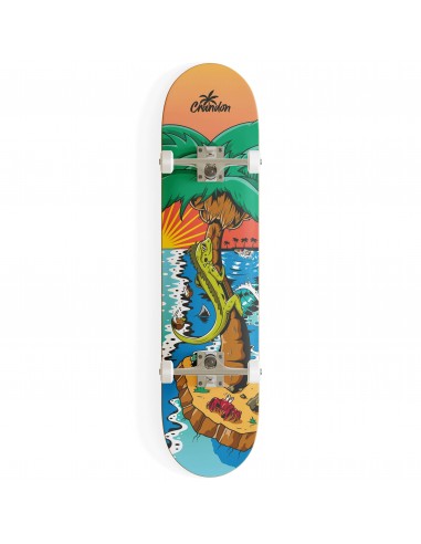 SKATE CRANDON PALM 7753099